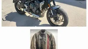 Triumph Trident 660 (2021 - 24) 
