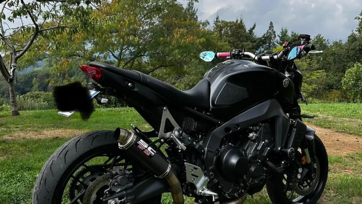 Yamaha MT-09 (2021 - 23)  (3)