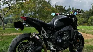 Yamaha MT-09 (2021 - 23)  (3)