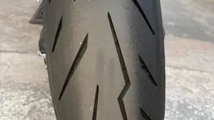 Aprilia Tuono 660 Factory (2025 - 26)  (9)
