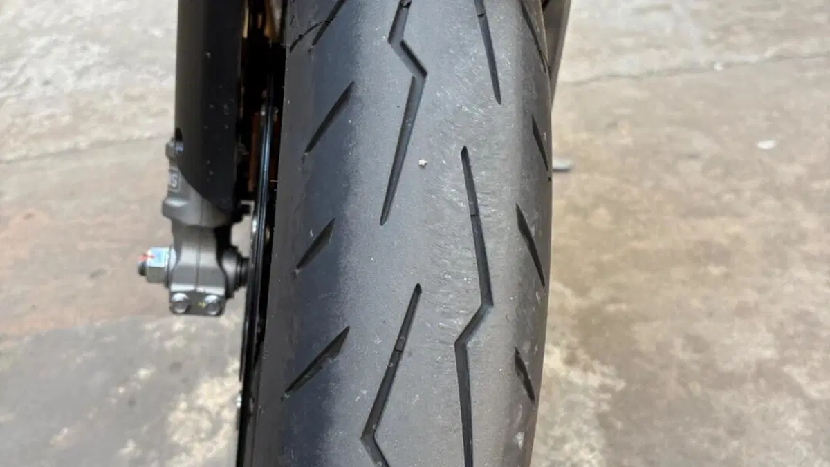 Aprilia Tuono 660 Factory (2025 - 26)  (10)