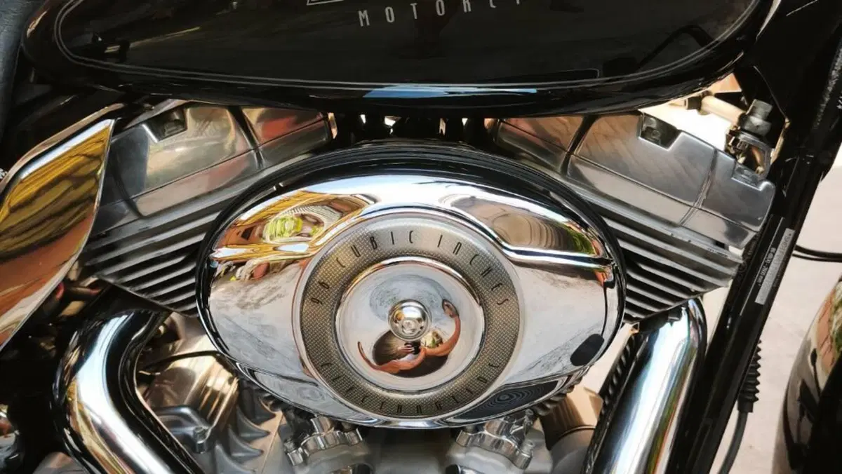 Harley-Davidson 1584 Electra Glide Standard (2008 - 10) - FLHT  (4)