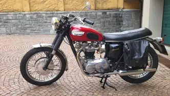Triumph 