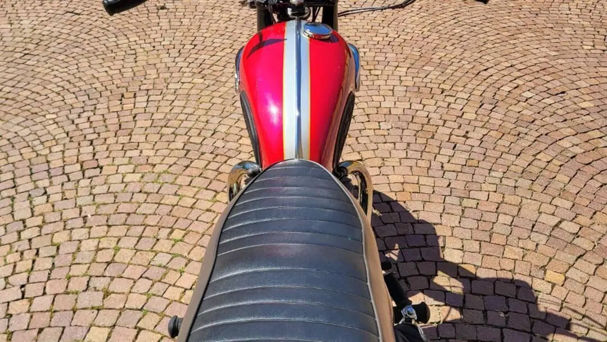 Triumph   (3)