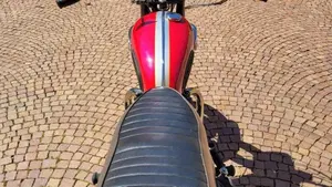 Triumph   (3)