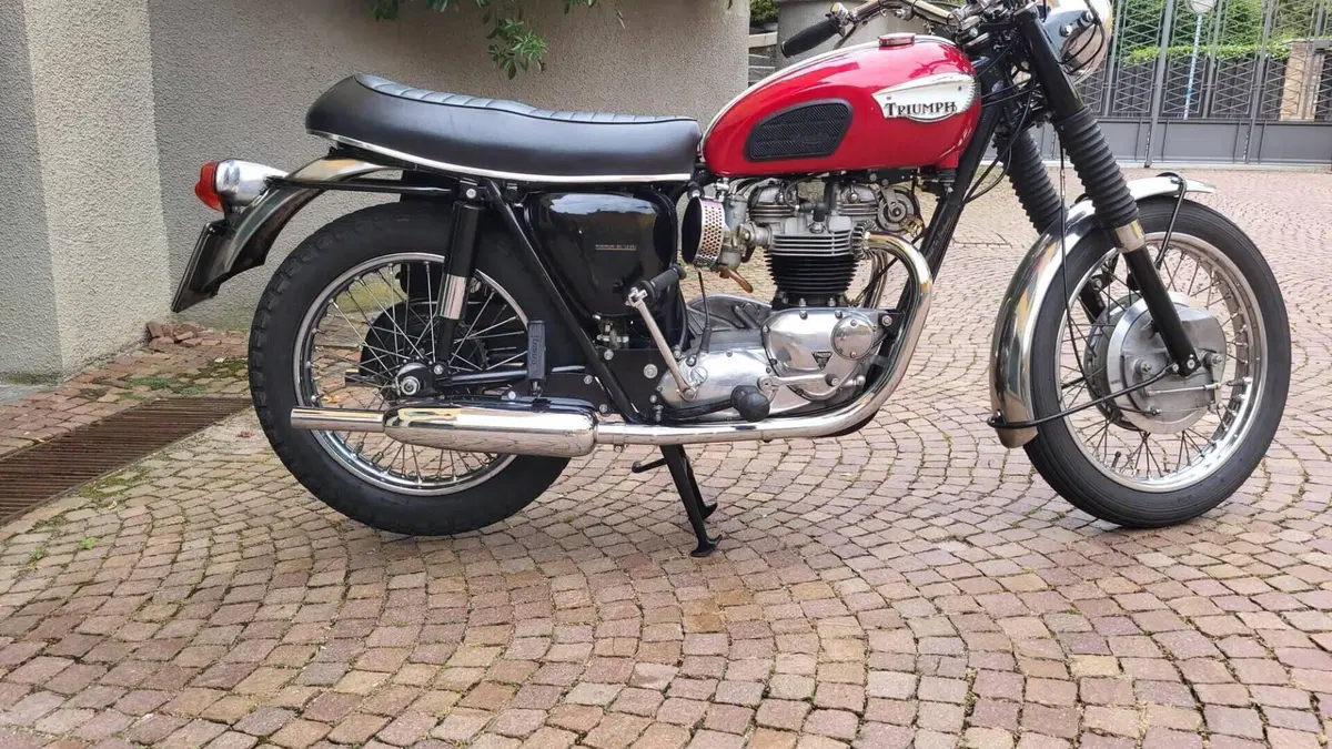 Triumph   (6)