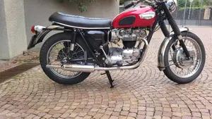 Triumph   (6)