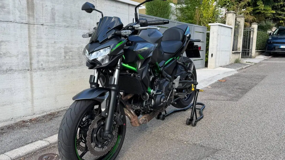 Kawasaki Z 650 (2021 - 24) 