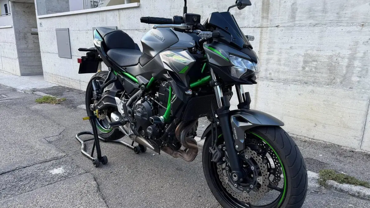 Kawasaki Z 650 (2021 - 24)  (4)