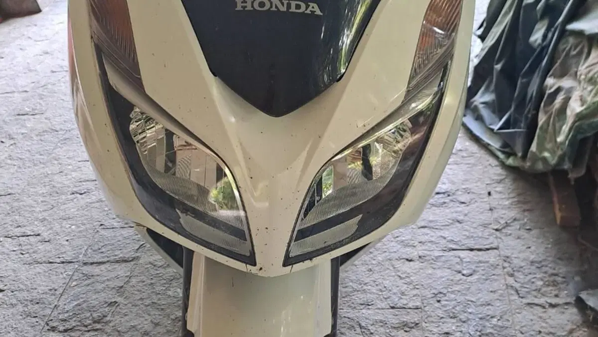 Honda Forza 300 ABS (2013 - 17)  (3)