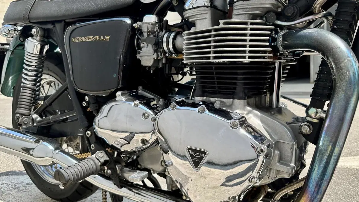 Triumph Bonneville 800 (2000 - 01)  (4)