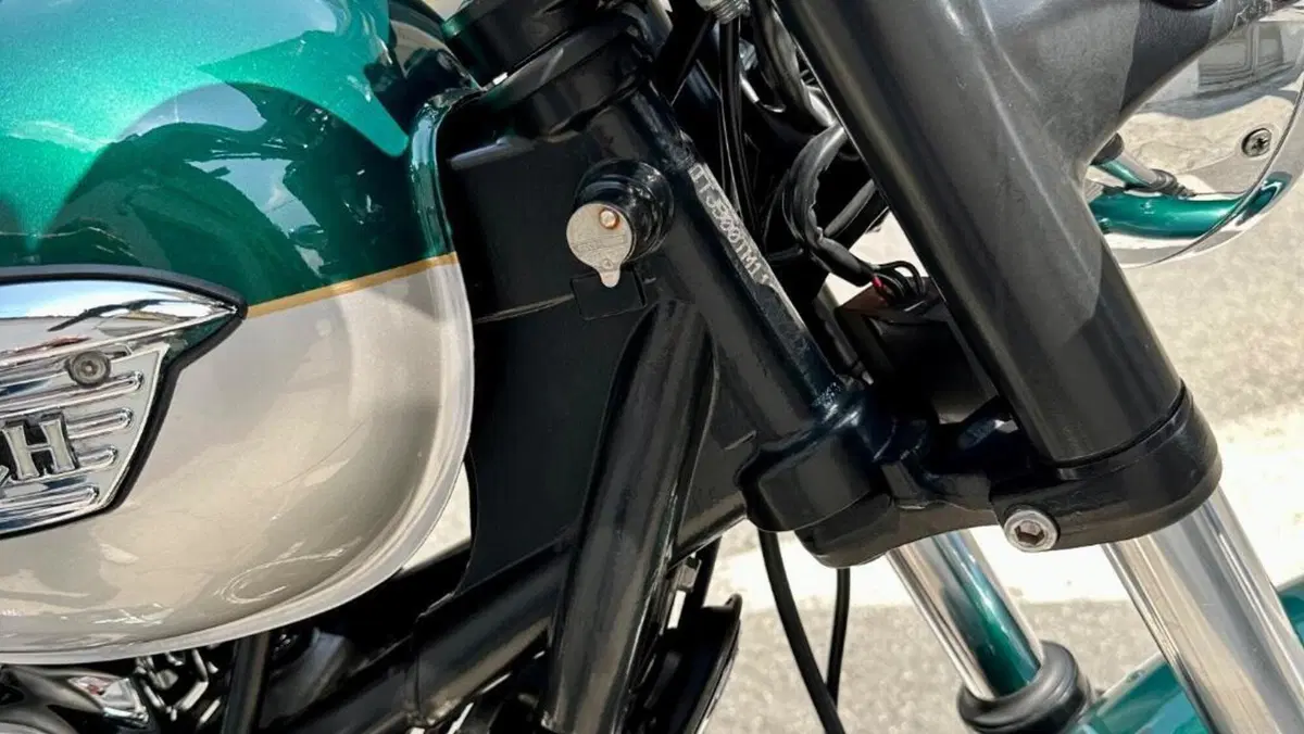 Triumph Bonneville 800 (2000 - 01)  (6)