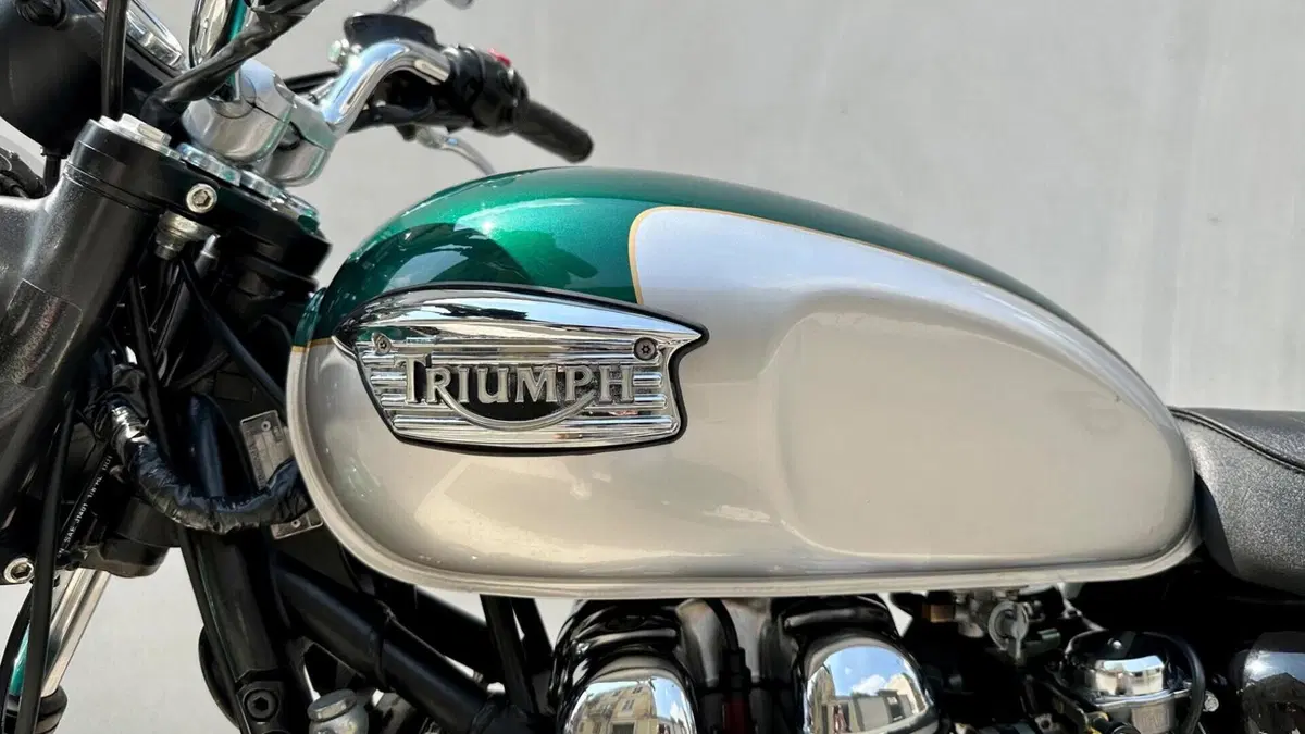Triumph Bonneville 800 (2000 - 01)  (7)
