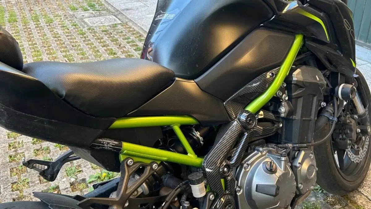 Kawasaki Z 900 A2 (2019)  (2)