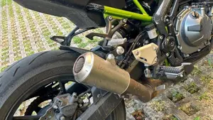 Kawasaki Z 900 A2 (2019)  (3)