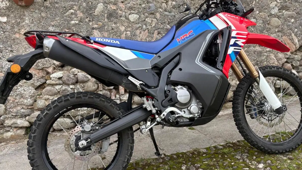 Honda CRF 300 Rally (2025 - 26)  (8)