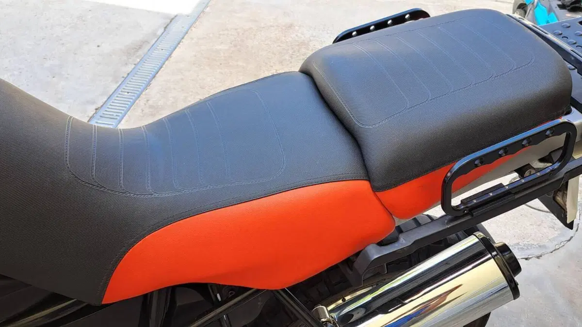 Bmw R 1150 GS (1999 - 03)  (3)