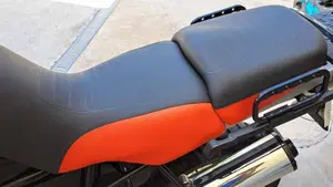 Bmw R 1150 GS (1999 - 03)  (3)