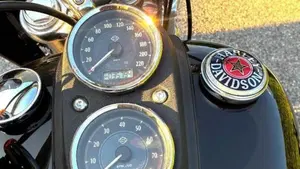 Harley-Davidson 1690 Low Rider (2014 - 17) - FXDL  (5)