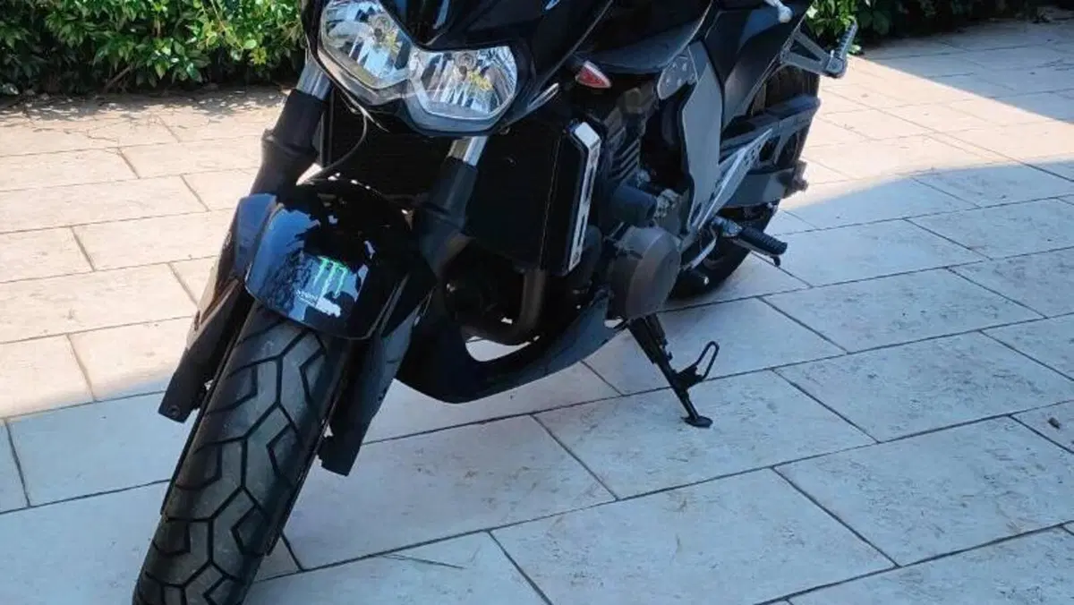 Kawasaki Z 750 (2003 - 06)  (4)