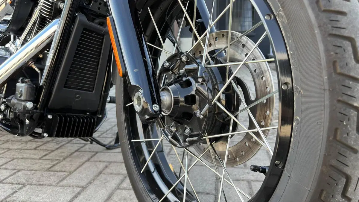 Harley-Davidson Street Bob 117 (2025 - 26)  (6)