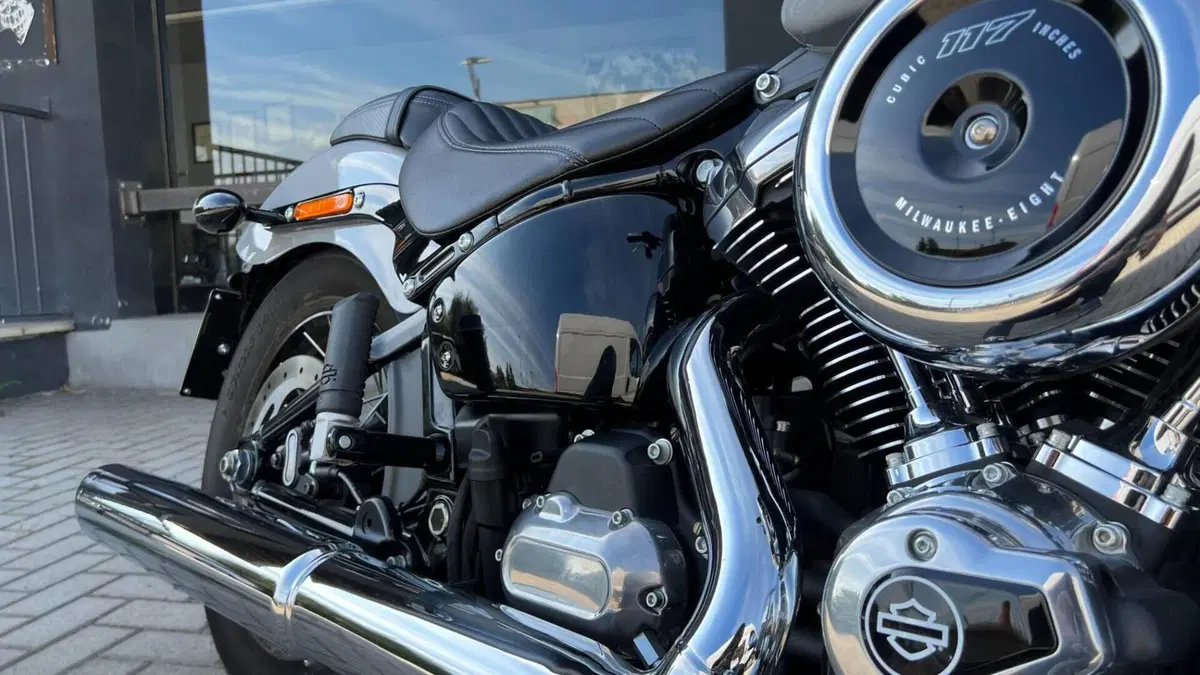 Harley-Davidson Street Bob 117 (2025 - 26)  (7)