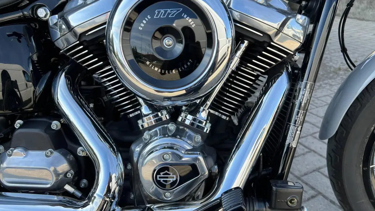 Harley-Davidson Street Bob 117 (2025 - 26)  (8)