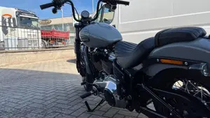 Harley-Davidson Street Bob 117 (2025 - 26)  (9)