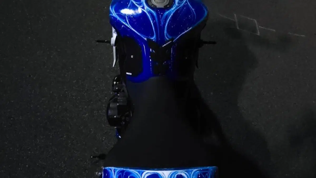 Yamaha MT-09 SP (2018 - 20)  (2)
