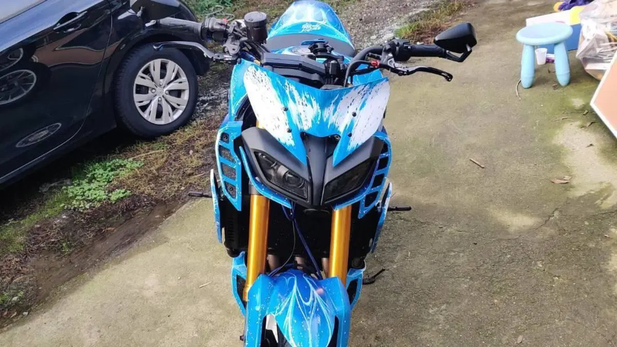 Yamaha MT-09 SP (2018 - 20)  (11)