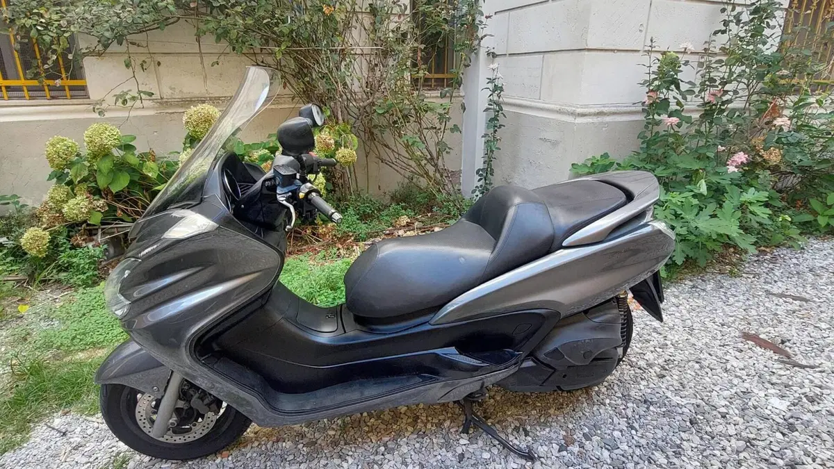 Yamaha Majesty 400 (2009 - 14)  (5)
