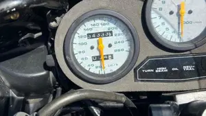 Suzuki   (2)