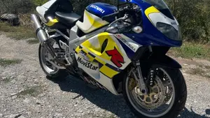 Suzuki   (3)