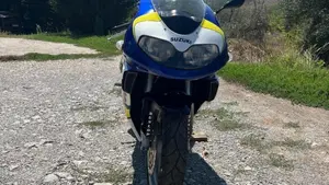 Suzuki   (10)