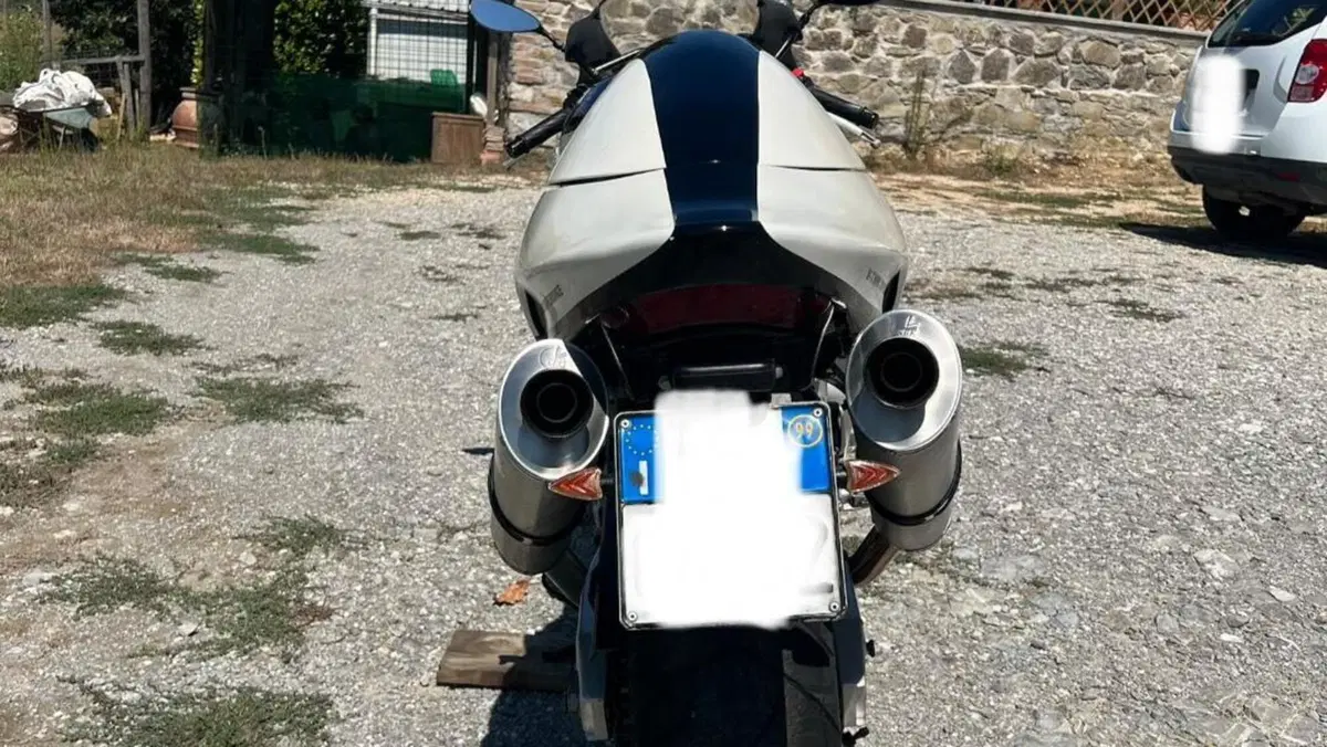 Suzuki   (14)