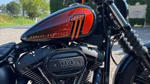 Harley-Davidson Street Bob 114 (2021 - 24)  (4)