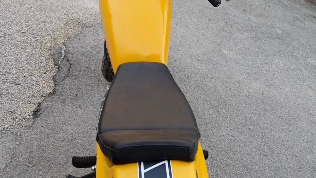 Yamaha   (6)