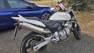 Honda CBF 600 (2004 - 06) usata