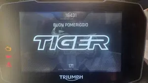 Triumph Tiger 900 GT Pro (2020 - 23)  (4)