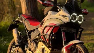 Ducati DesertX (2022 - 25) usata