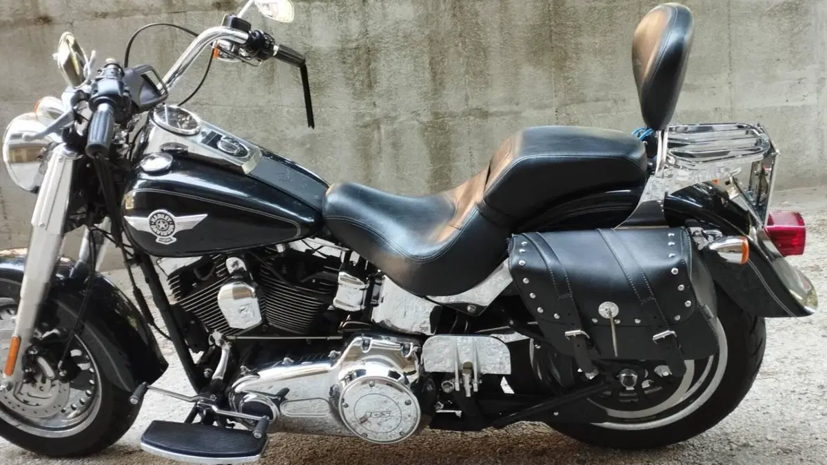 Harley-Davidson 1690 Fat Boy Special (2010 - 17) - FLSTF  (2)