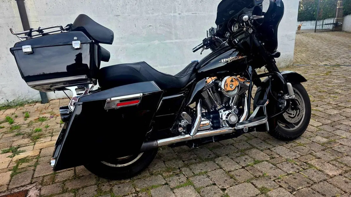Harley-Davidson 1584 Street Glide (2007) - FLHX  (11)