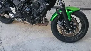 Kawasaki Z 650 (2020)  (3)