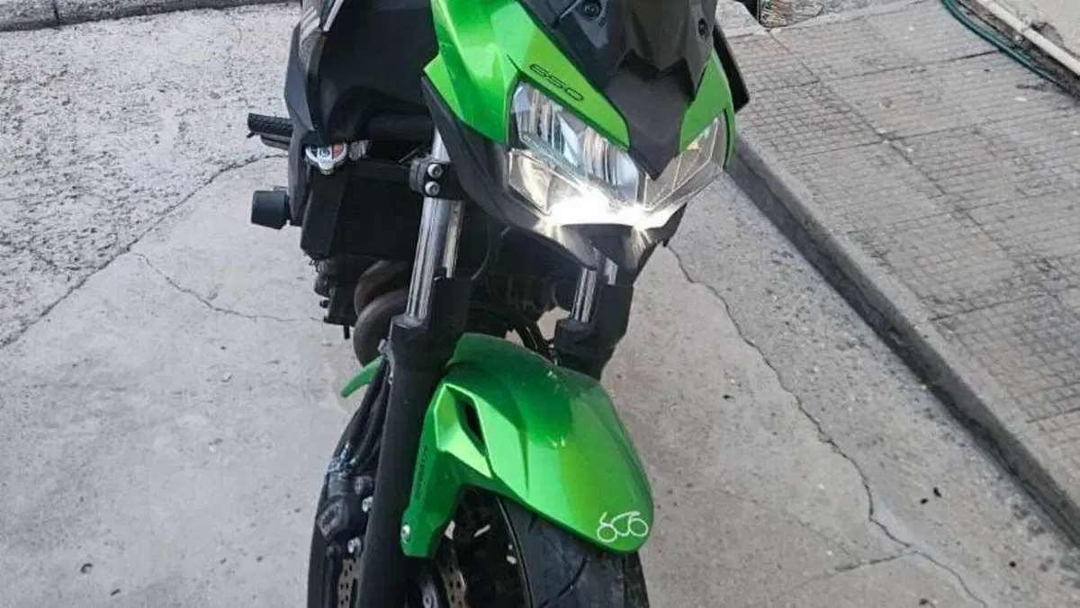 Kawasaki Z 650 (2020)  (5)