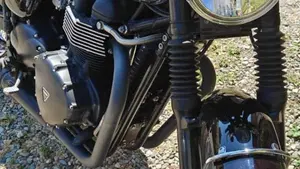 Triumph Bonneville T100 (2008 - 16)  (3)