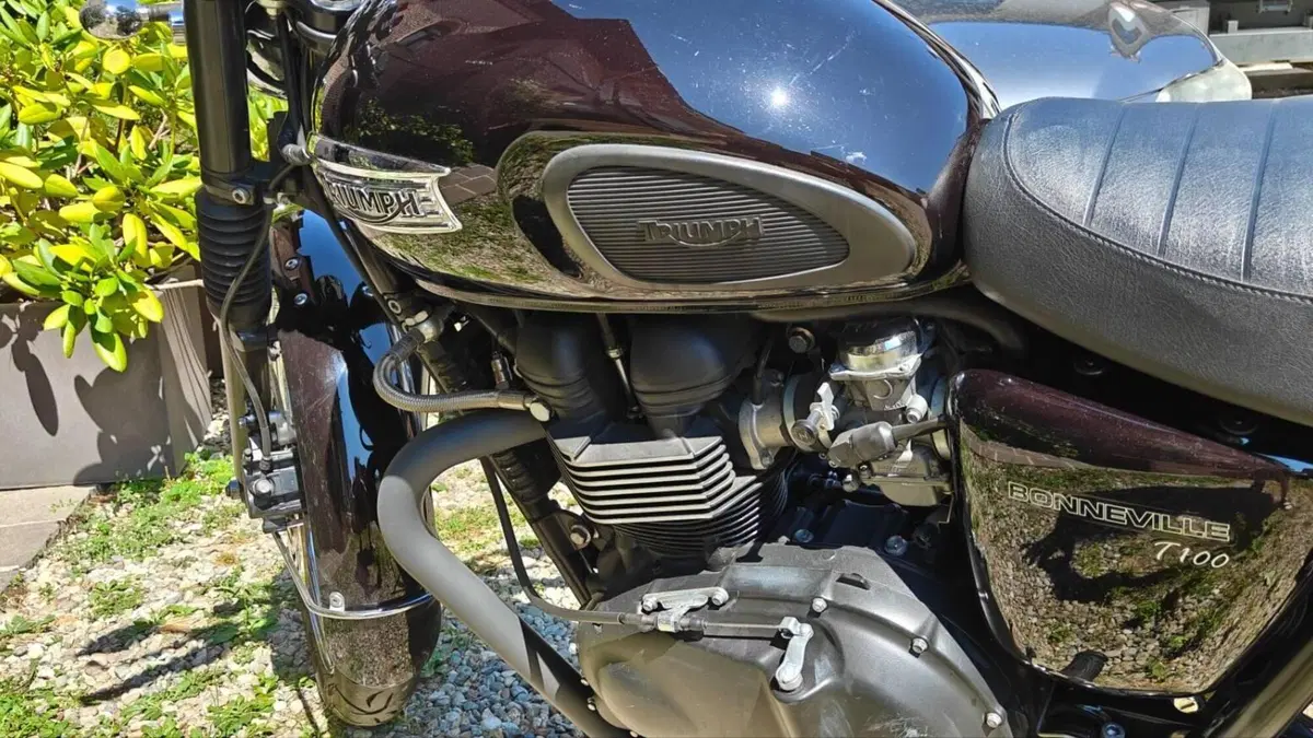 Triumph Bonneville T100 (2008 - 16)  (5)