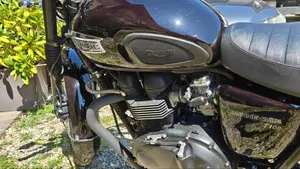 Triumph Bonneville T100 (2008 - 16)  (5)