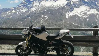 Triumph Street Triple (2007 - 12) usata