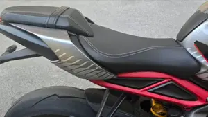 Triumph Street Triple RS (2020 - 22)  (7)