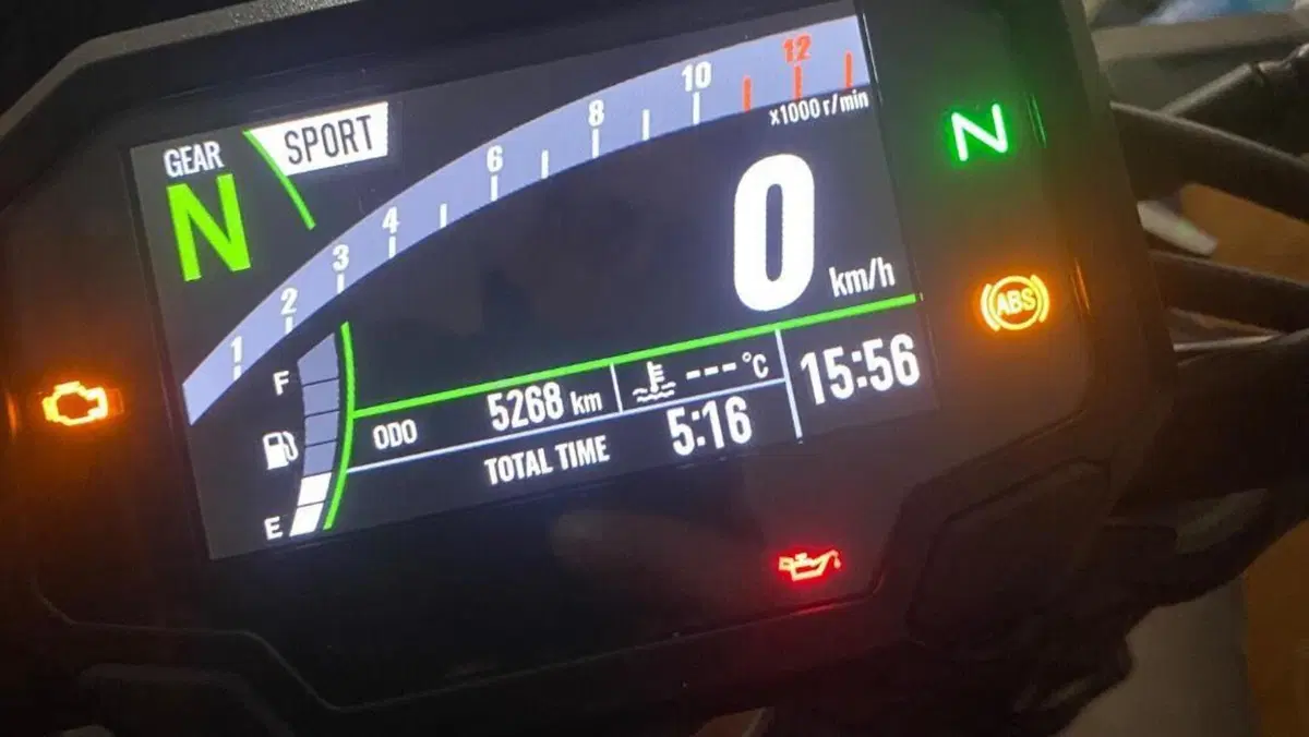 Kawasaki Z 900 (2021 - 24)  (4)